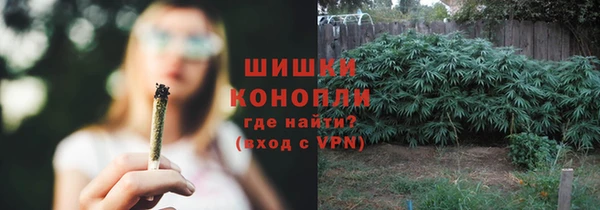 гидропоника Гусев