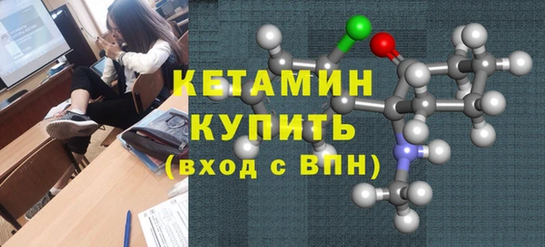 шишки Сясьстрой