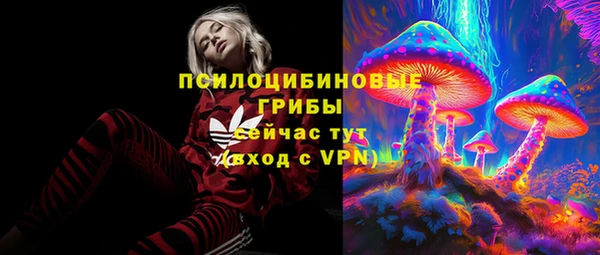 гидропоника Гусев