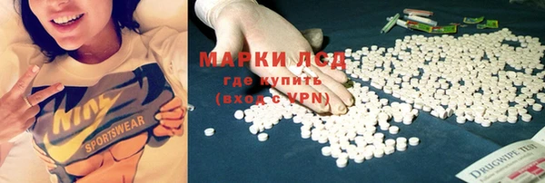 трава Гусь-Хрустальный