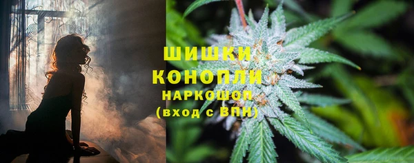 гидропоника Гусев