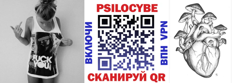 Купить  Пролетарск  Галлюциногенные грибы Psilocybine cubensis 